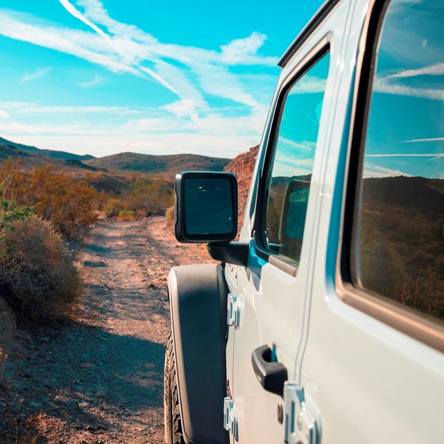 A Jeep along a rocky dirt road lined by desert shrubs.