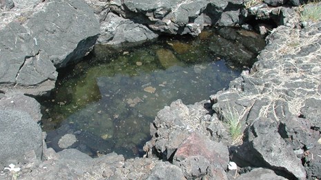 Water pools seep through lava rock
