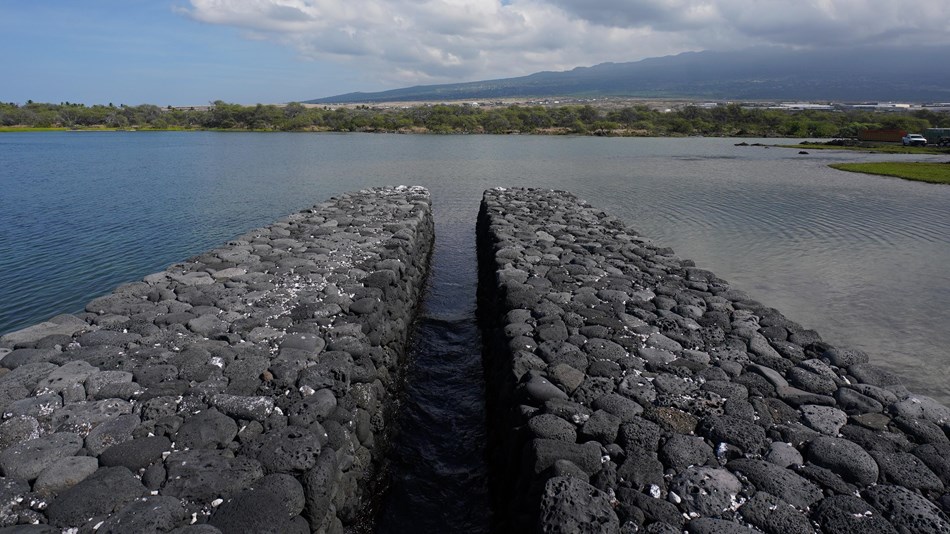 Kaloko kuapā (sea wall) and 'auwai (water channel) facing Hualālai Volcano