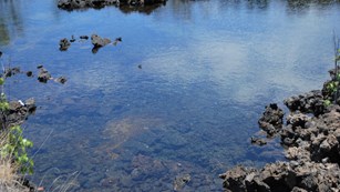 An body of water with lava rock