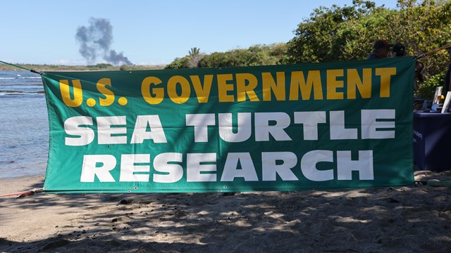 Sign on beach reading U.S. Government Sea Turtle Research