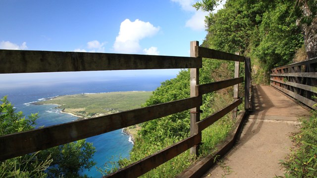 The view of the peninsula through a fence