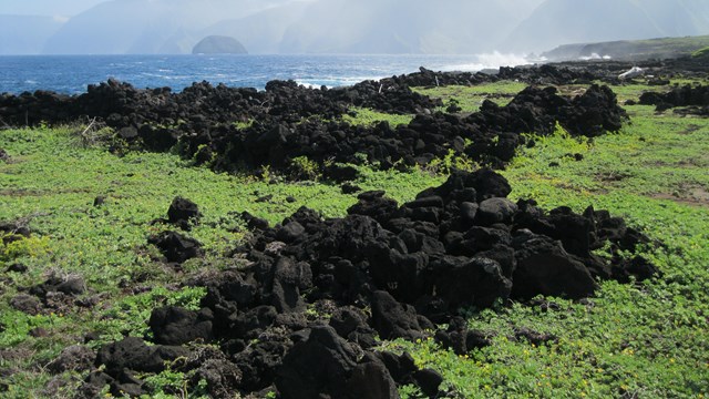 Rock walls on a coast line.