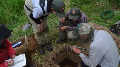 Three researchers examine a soil sample taken out of an excavated test pit.