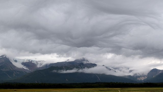 Dark clouds over sedge meadow.