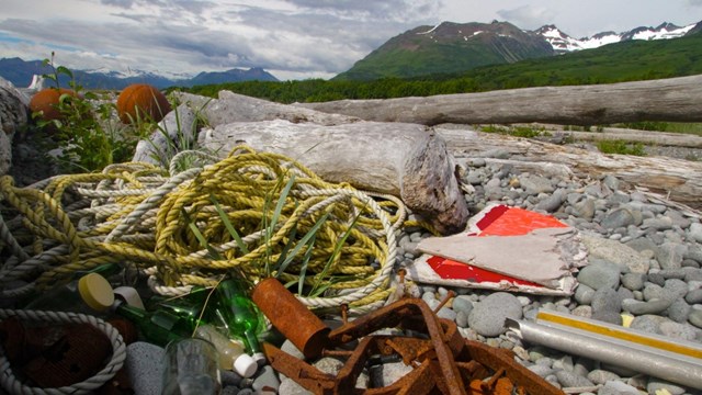 Bottles, Rope, and other litter on a rocky beach, with mountains in the background.
