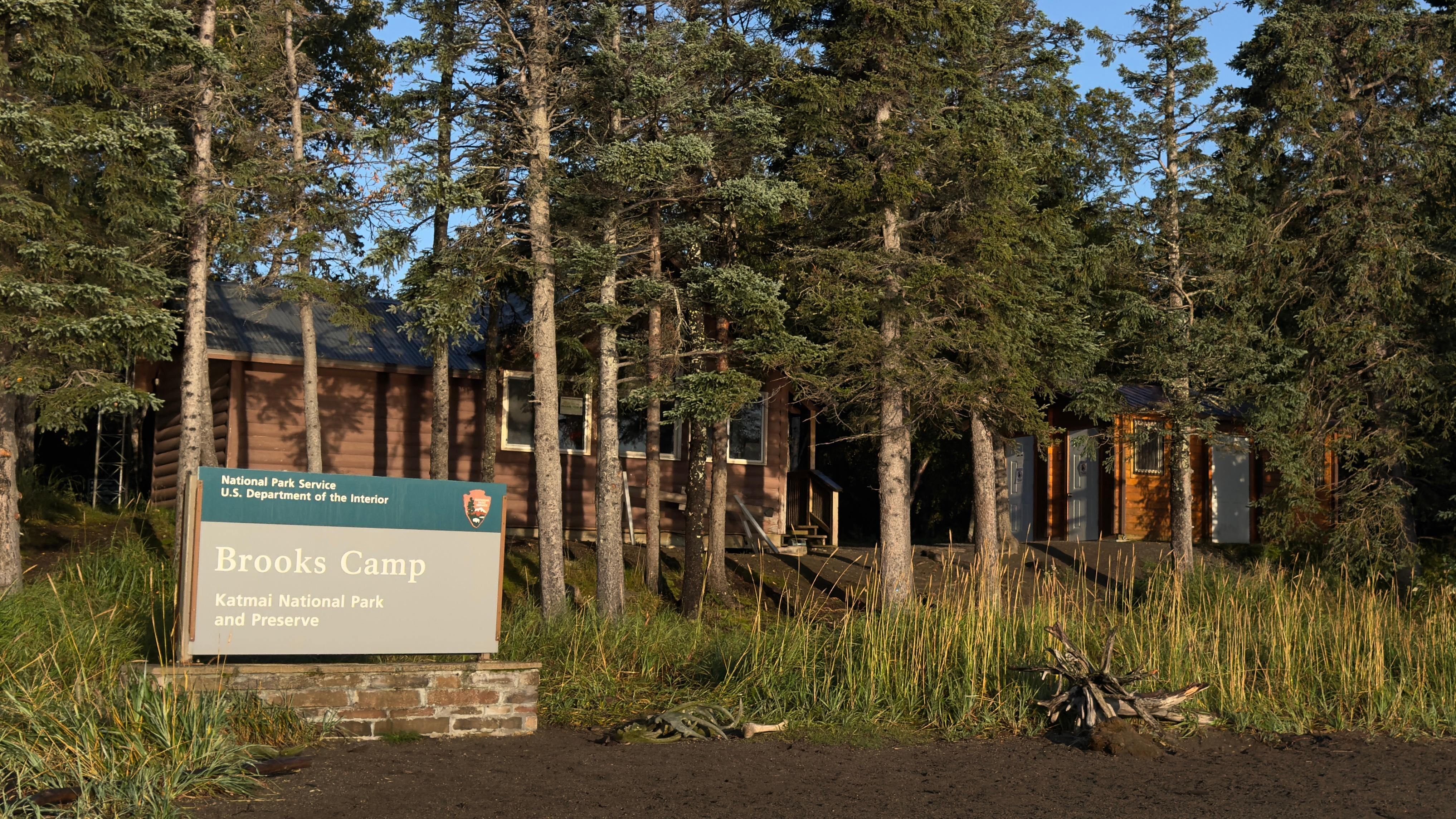 A sign that reads Brooks Camp and US flag in front of spruce forest