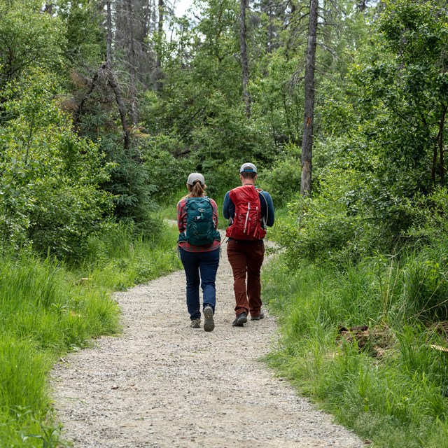 Two people from the behind walking along a gravel trail surrounded by grass and woods