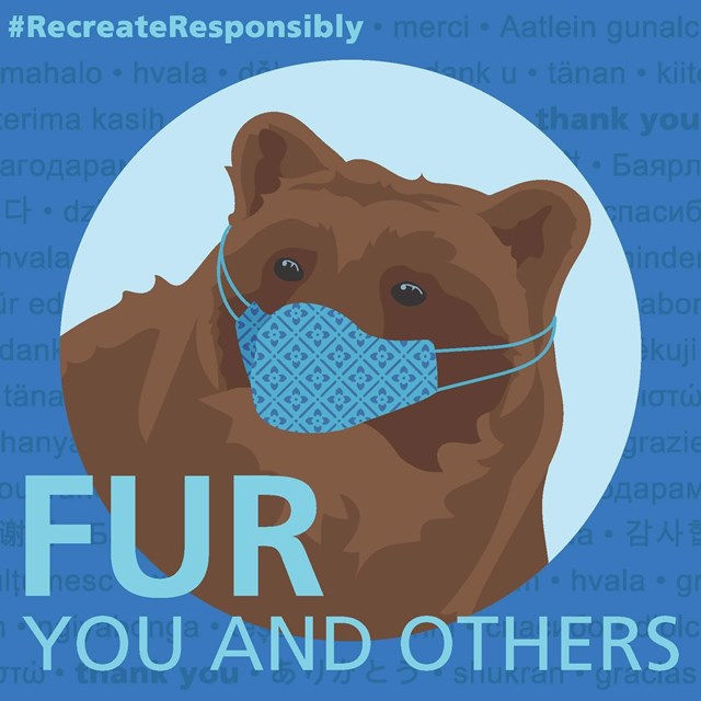Graphic illustration of a bear wearing a mask. Text reads 