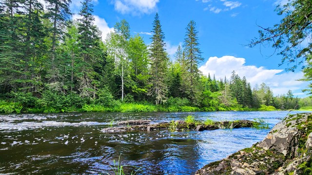 A large calm river flows alongside a forested landscape on a sunny blue sky day.