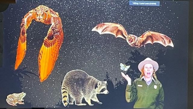 A zoomed in image of a projection on a classroom wall. A NPS Ranger shows nocturnal animals.