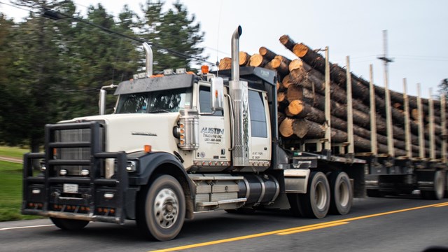 A logging truck carrying trees drives by. The cab is white and the sky is blue.