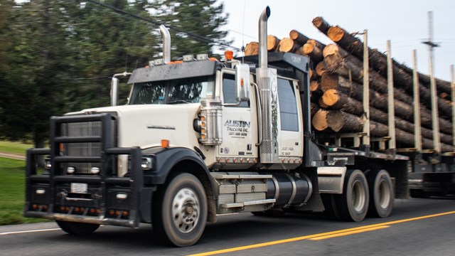 Image of a logging truck driving past on a road. The truck is filled with lumber.