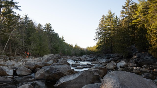 A view of the river with large rocks and pine trees on either side. People wearing orange stand near