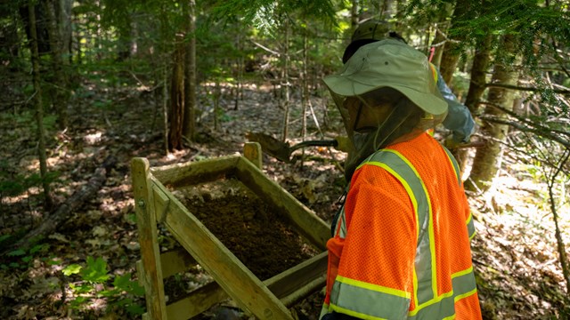 Researcher in hi-vis working in a shaded forest.