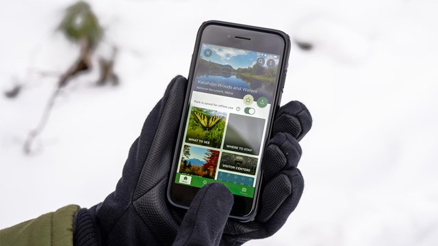 A close-up of a hand with black gloves on holding a black smartphone swiping on the NPS App.
