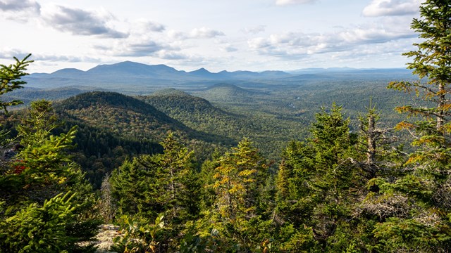An expansive scenic vista of the woods. Mountains in surrounding areas and river in the distance.