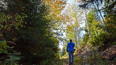 Man walking on wooded trail in autumn.