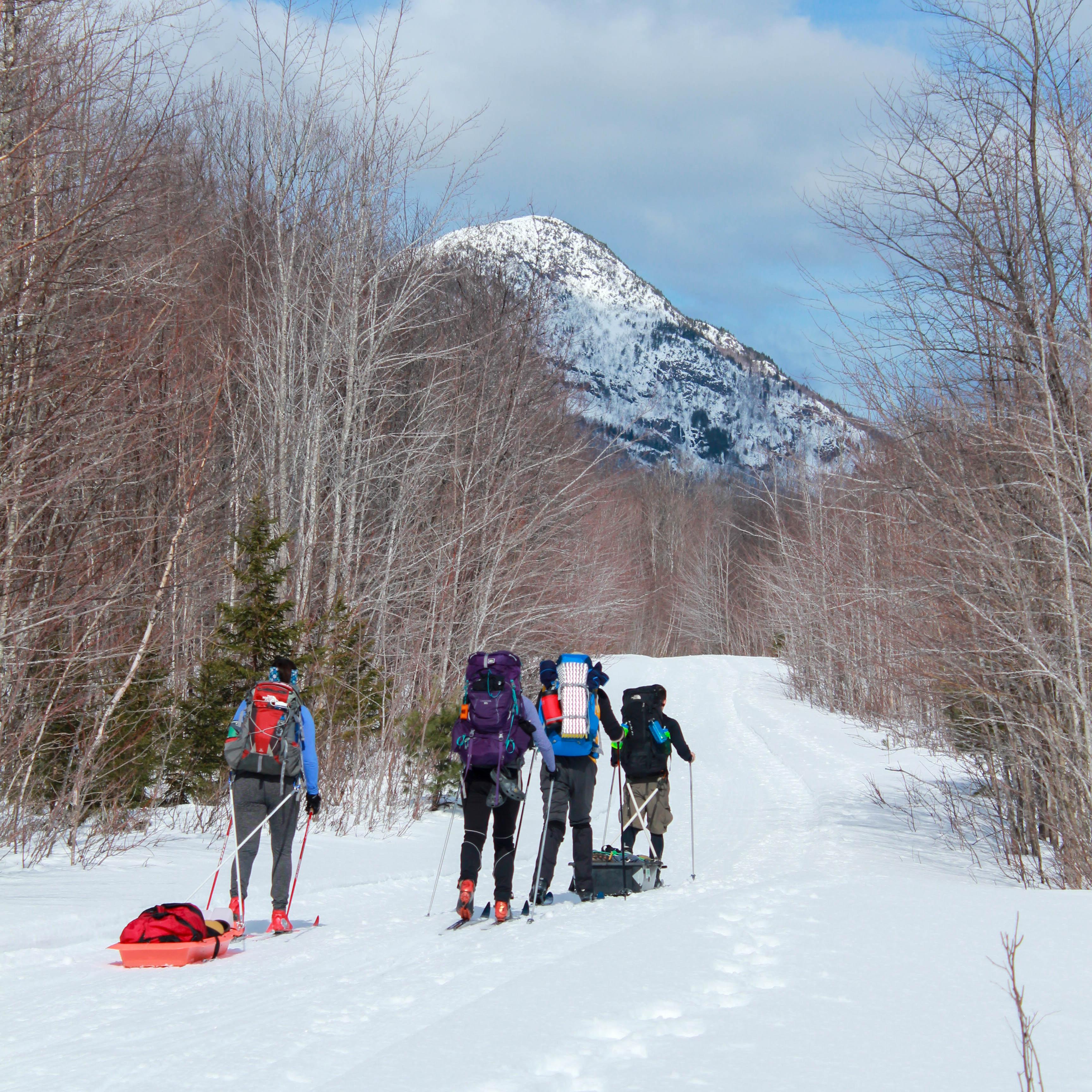 A group of visitors traveling by cross country skiing, pulling a sled of gear.
