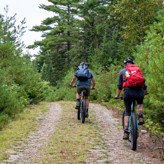 Two bikers on a gravel trail biking into a green forest.