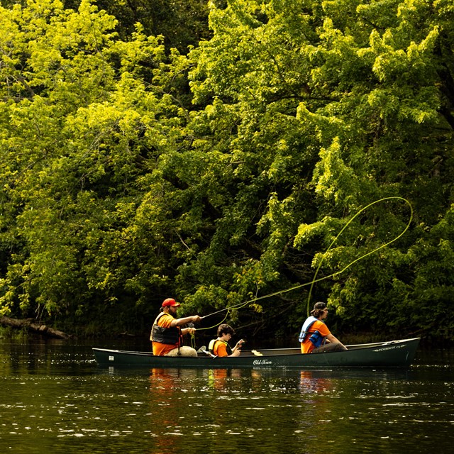 Three people in a canoe on a river fishing on a sunny day. The person in the back is casting a line.