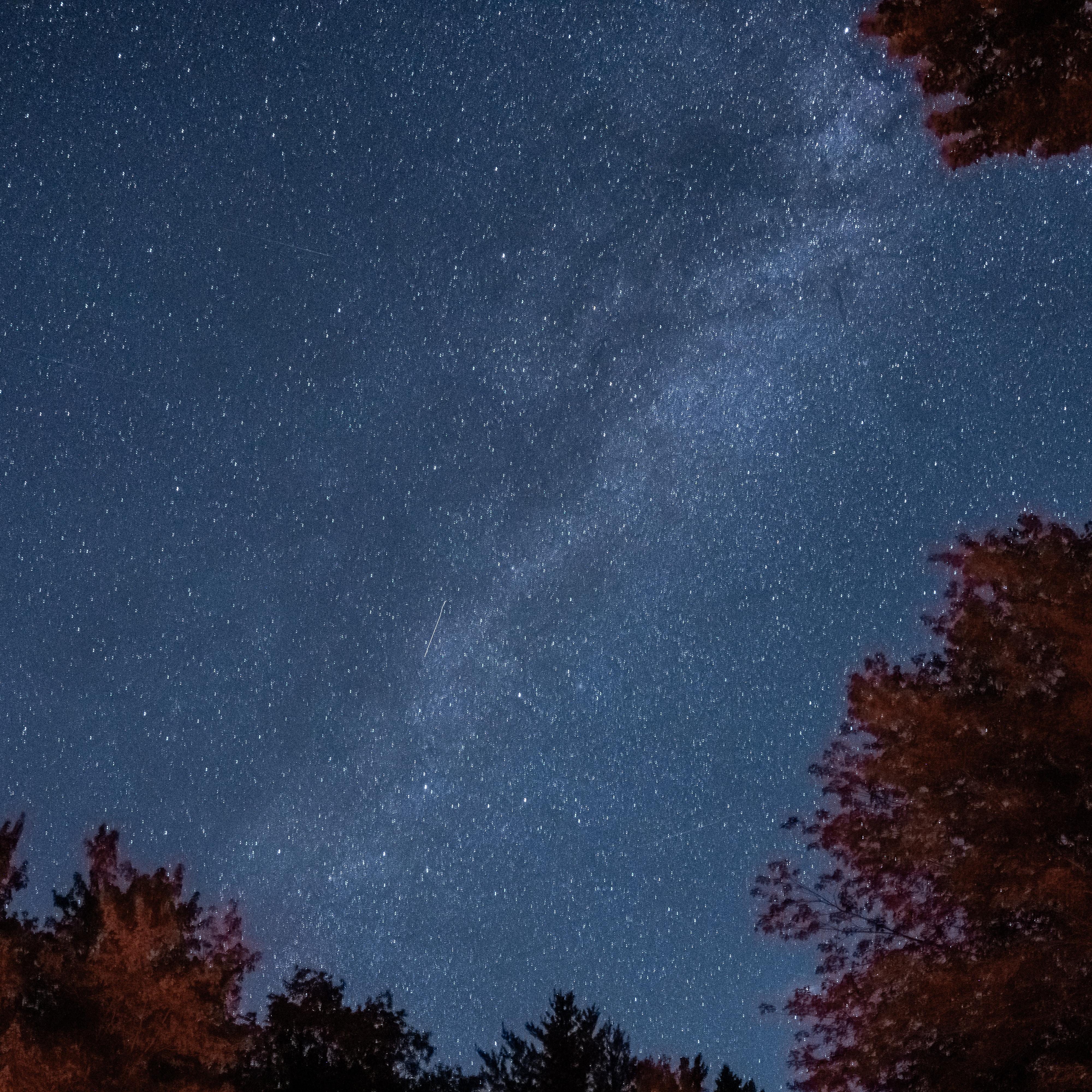 A blue sky filled with thousands of white stars hangs over a shadowed forest and waterway.