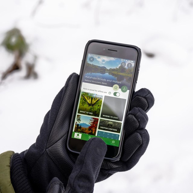 A close-up of a hand with black gloves on holding a black smartphone swiping on the NPS App.