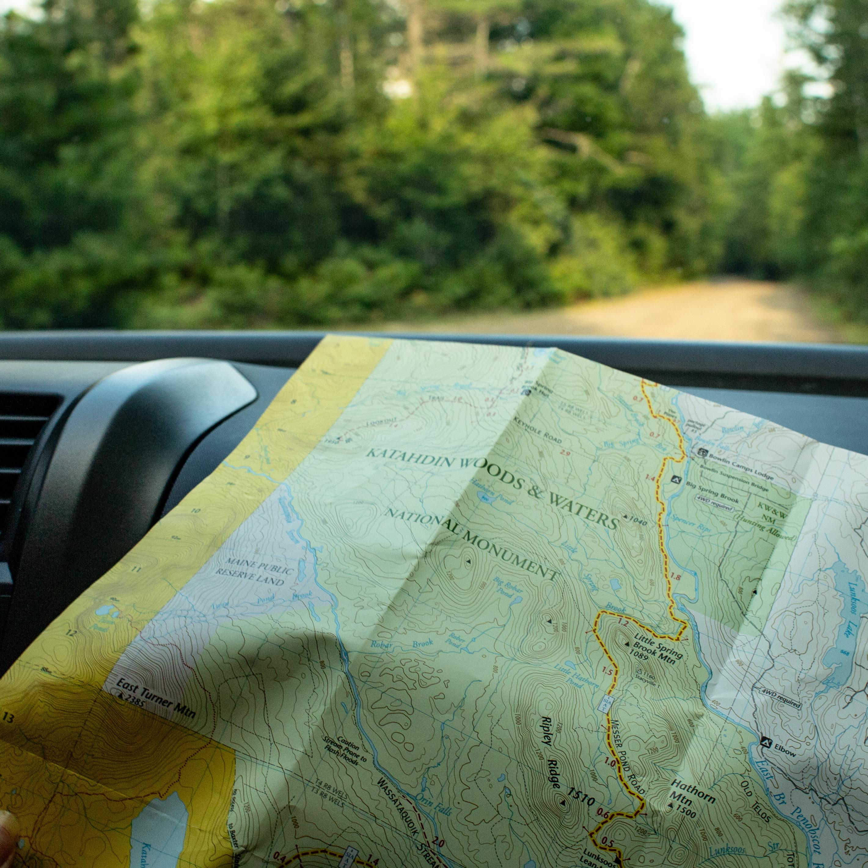 A visitor holds a map on the dashboard of a car with a green and brown background.