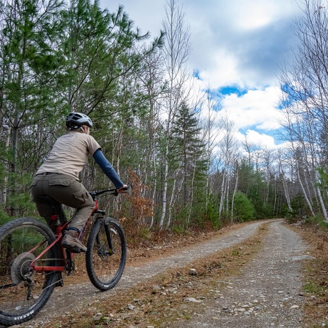 a person wearing a helmet bicycles on a path