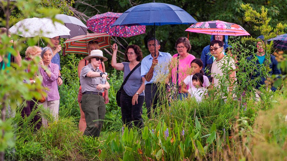 Kenilworth Park Aquatic Gardens U S National Park Service