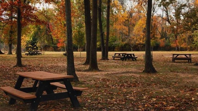 The picnic area with picnic table in the fall with leaves on the ground