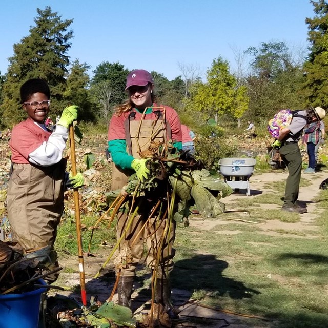 Volunteer at the gardens 