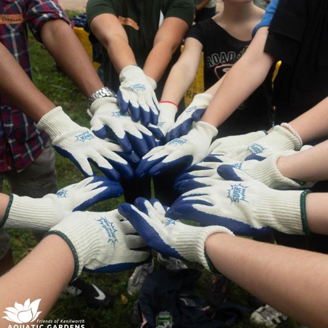 Friends of Kenilworth Aquatic Gardens put their hands in a circle.