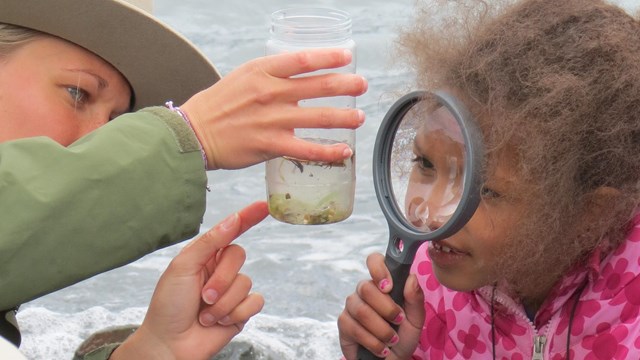 A child looks at a jar of phytoplankton through a magnifying glass with a park ranger.