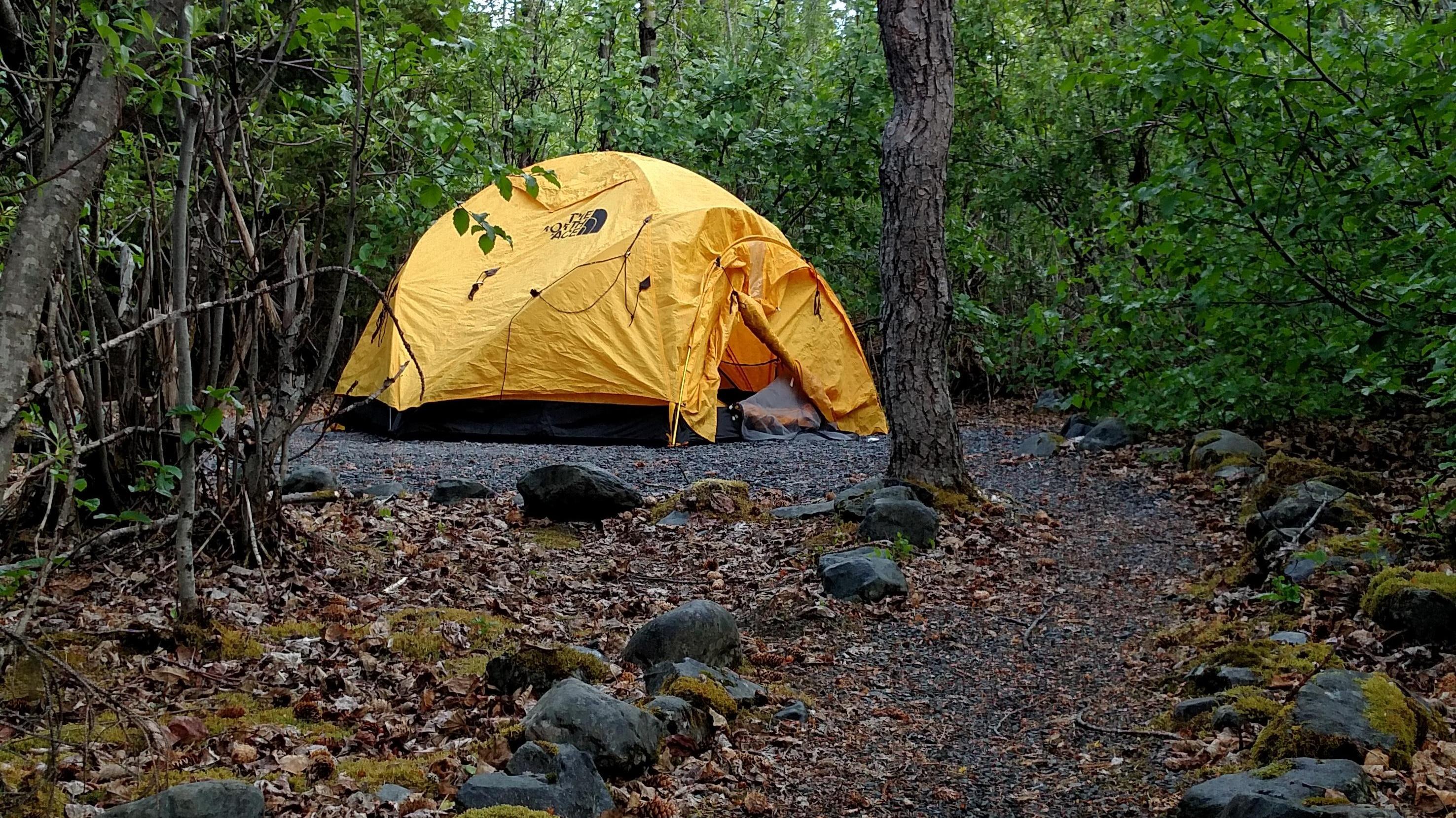 A tent on a campground amongst trees