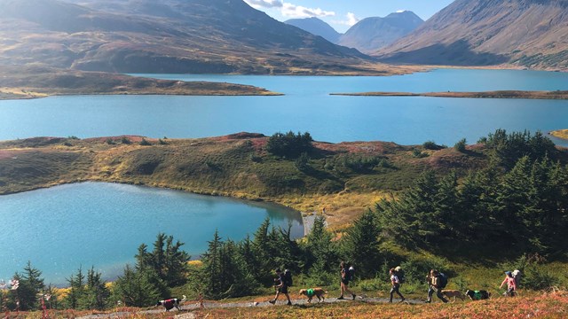 Multiple hikers and dogs walk along a trail with a lake beyond.