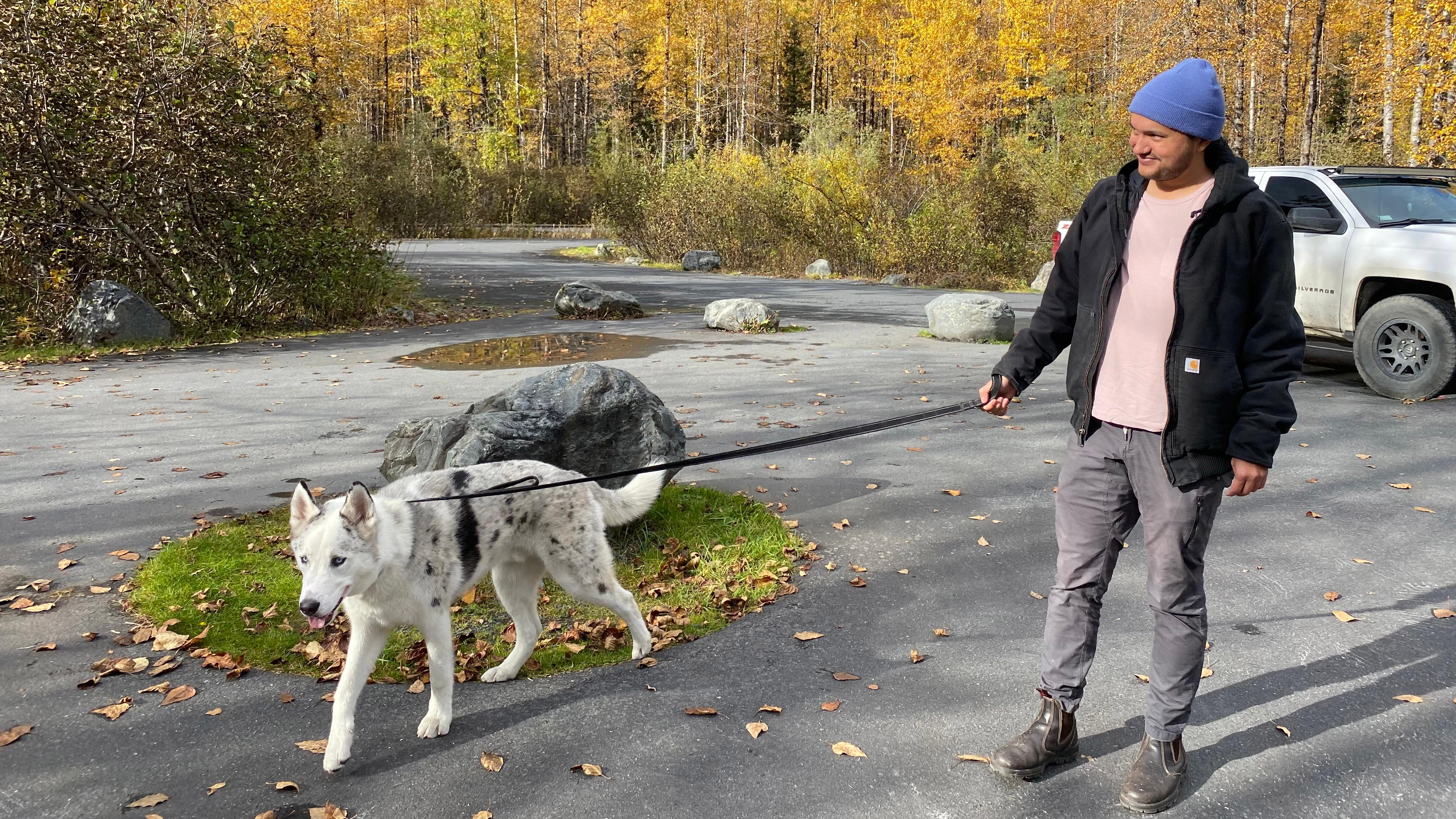 A dog on a leash in a parking lot.