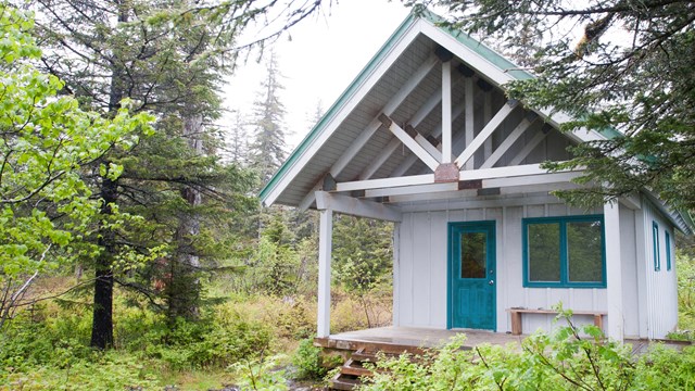 Holgate cabin surrounded by woods