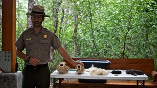 Park Ranger holding a skull