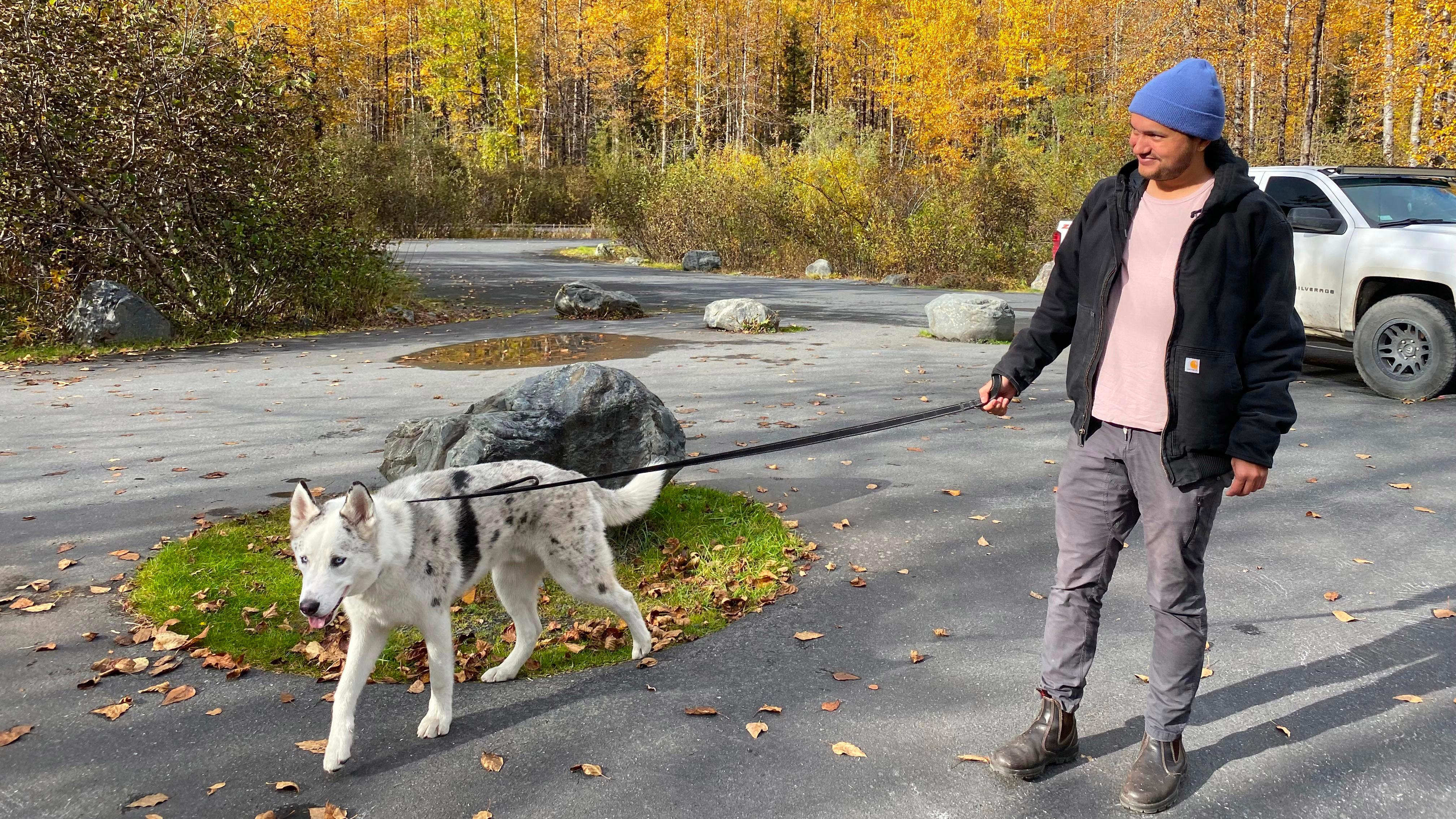 A person walking dog