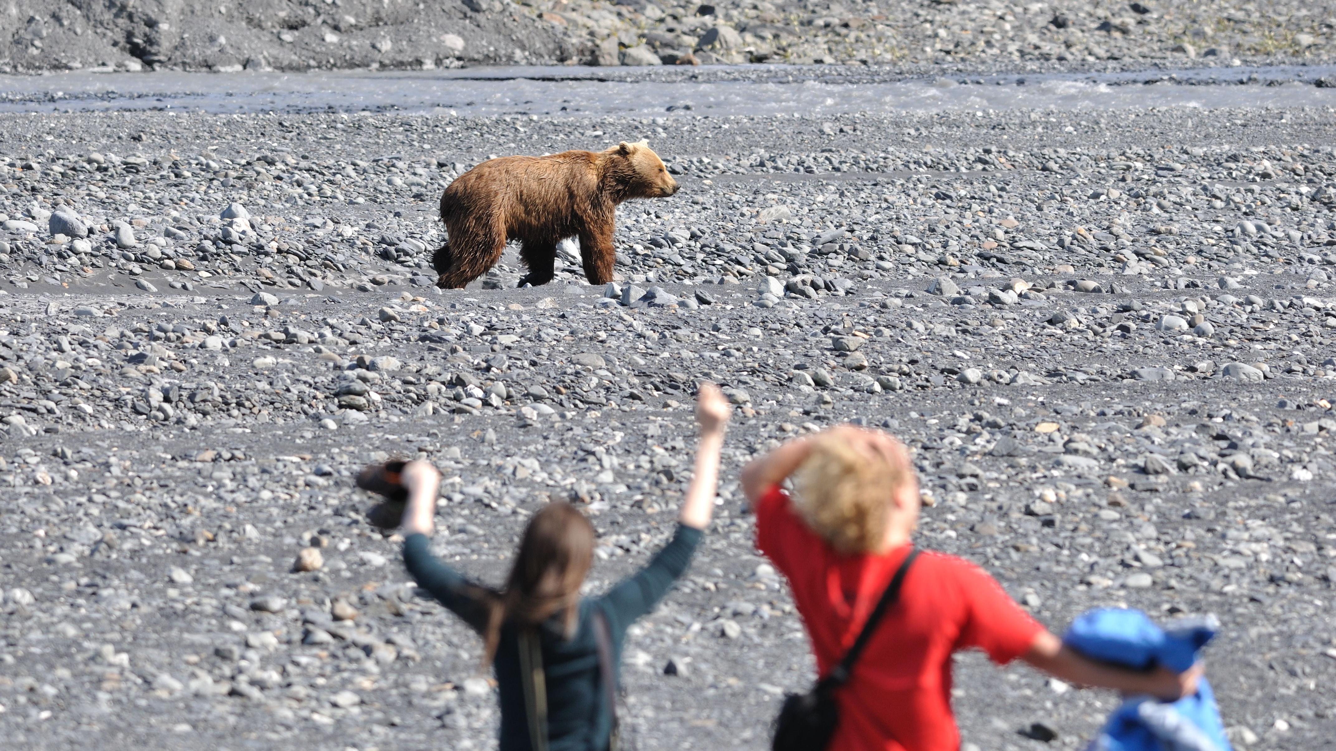 Two people wave their arms at a bear in the distance