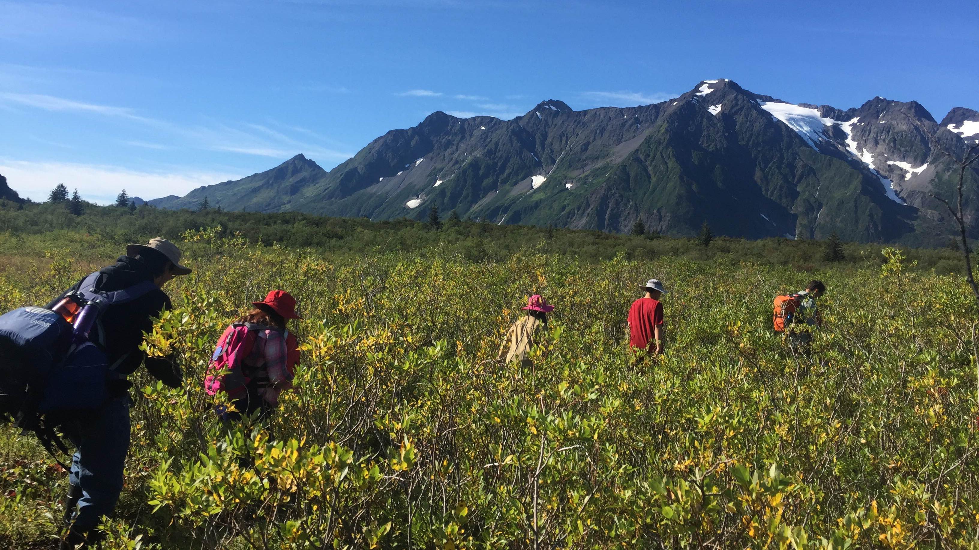 Multiple people walk through brush with mountains beyond