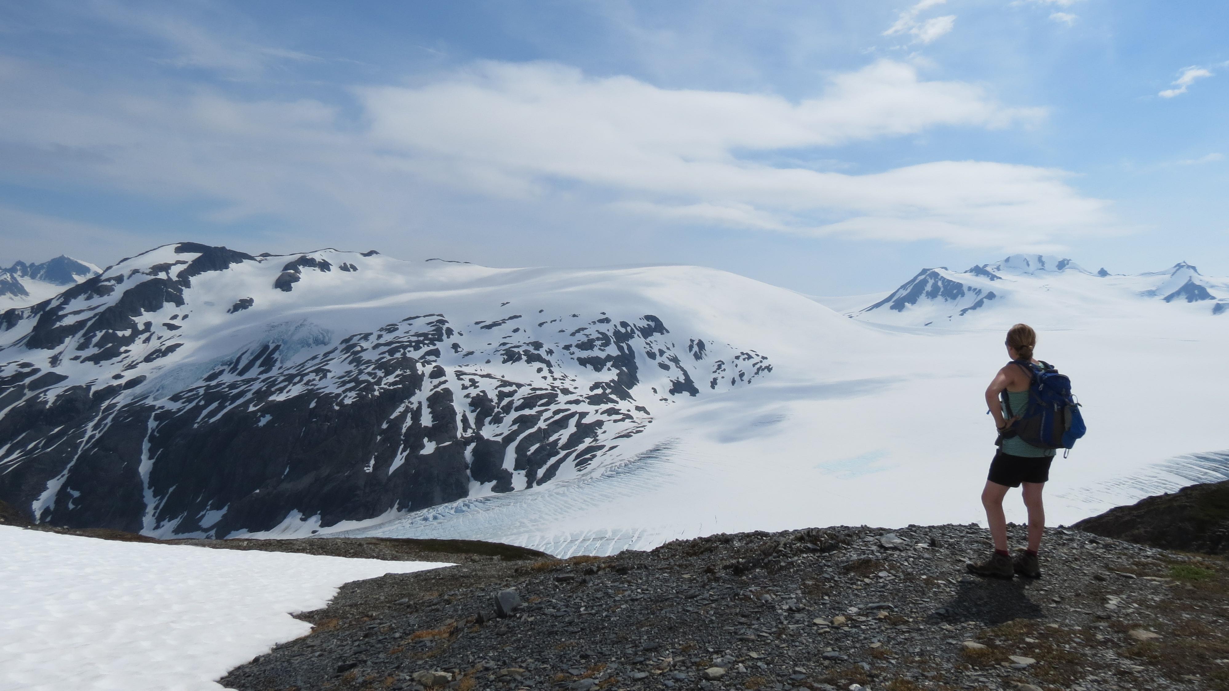 A person looks out at icefield vista