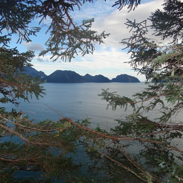 Looking through tree branches at the ocean and distant islands.