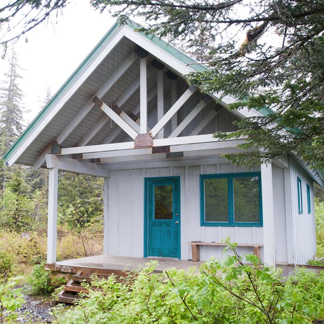 Holgate cabin surrounded by woods