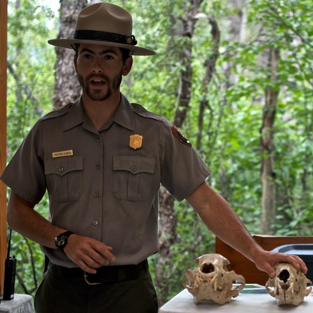 Park Ranger holding a skull