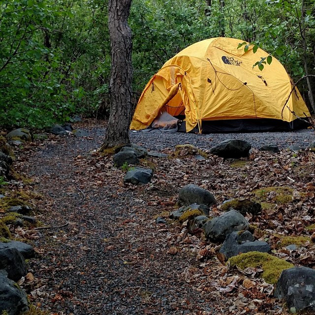 Yellow tent in the background with a gravel path leading to it.