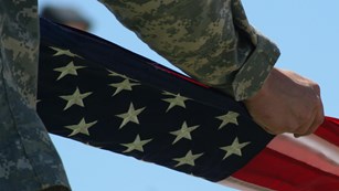 Veteran's History Project