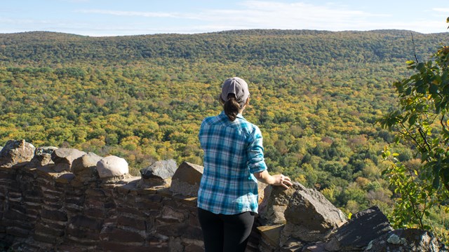 A woman looks over a stone fence out at a forest of green trees.