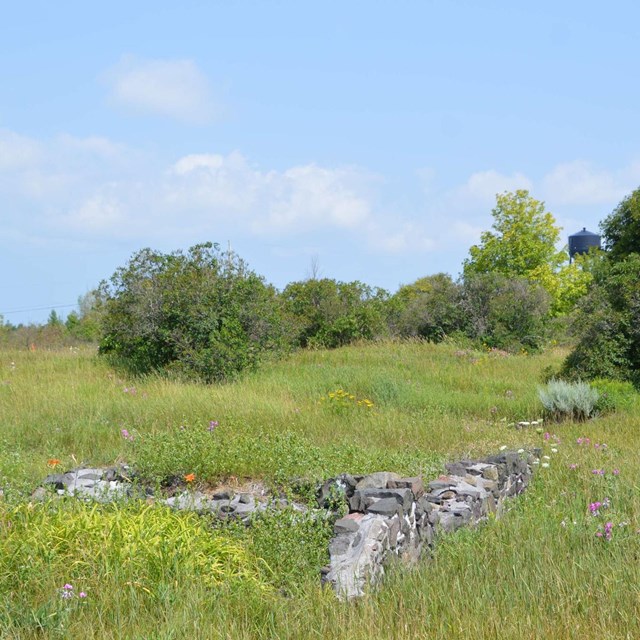 Green grass, shrubs, and tress overgrown over mining building ruins.